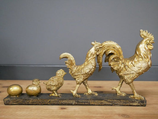 Chicken Evolution