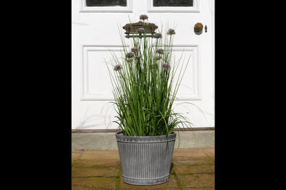 Planter