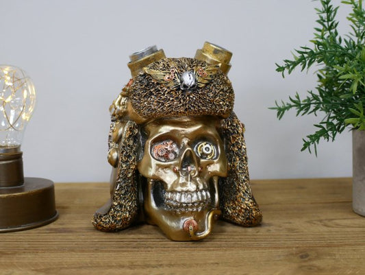 Steampunk Skull