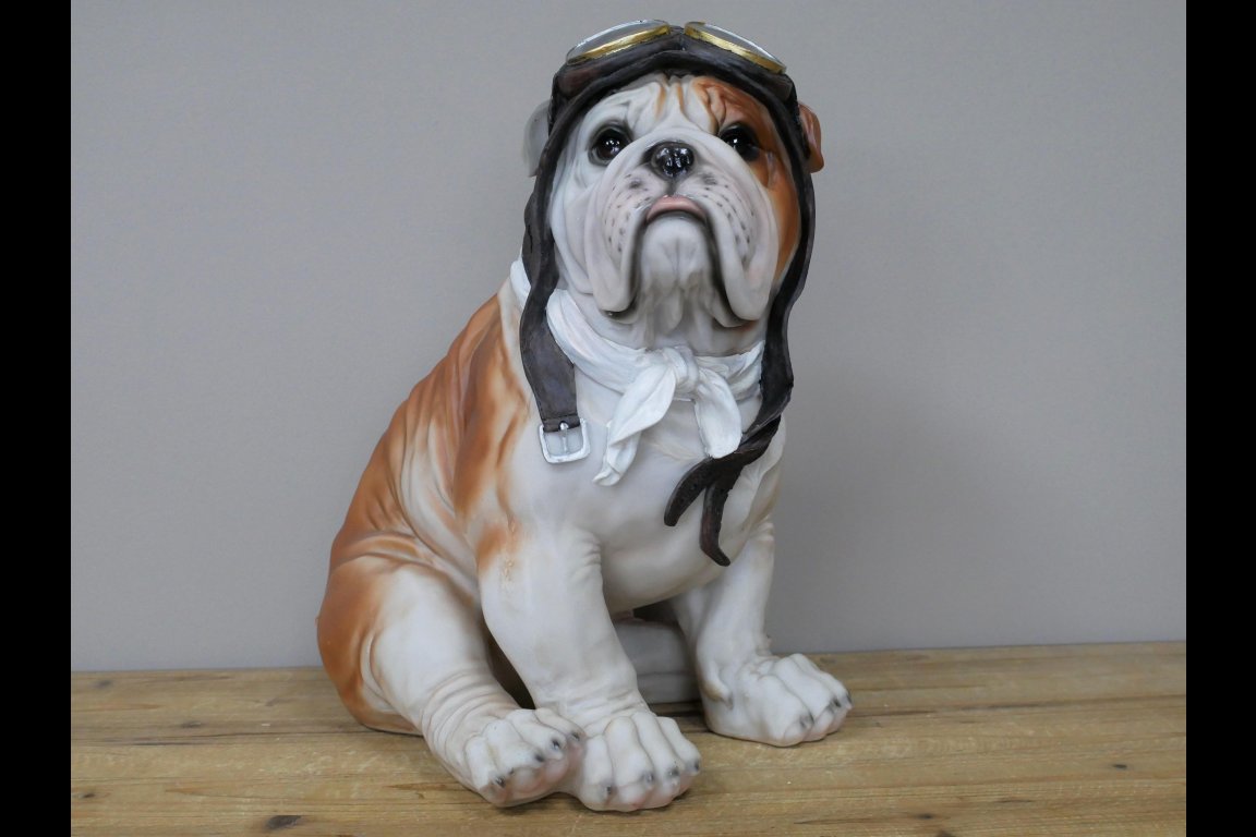 Large Pilot Dog