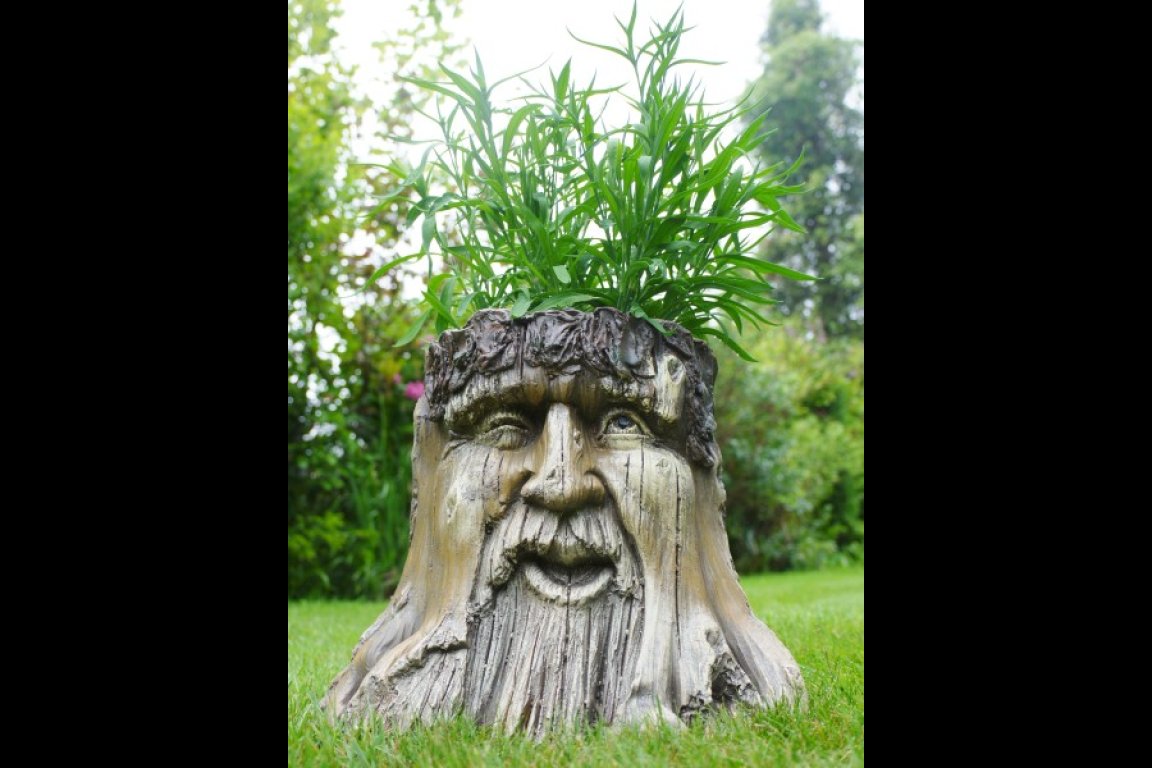 Tree Stump Planter