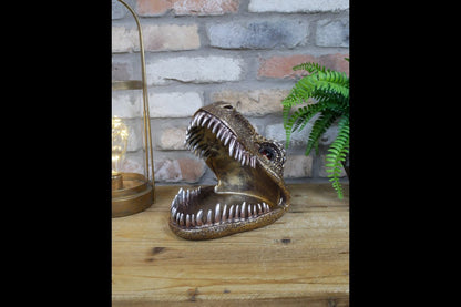 Dinosaur Dish
