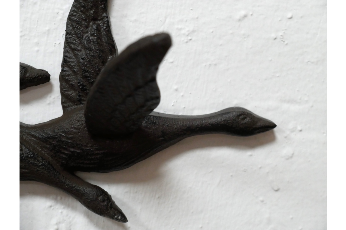 Birds Coat Hook