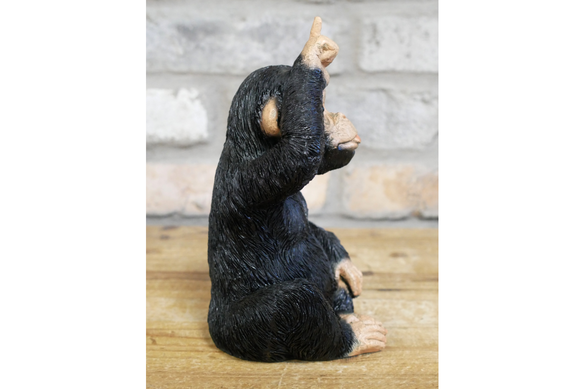 Little Loser Monkey