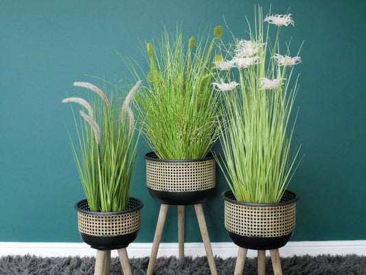 Set Of Three Planters