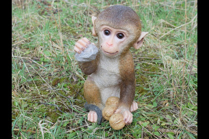 Monkey