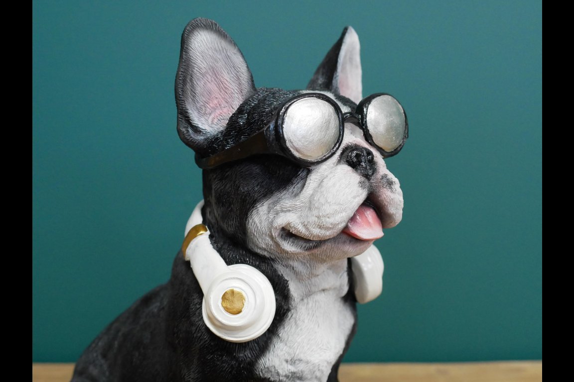 Dog With Headphones