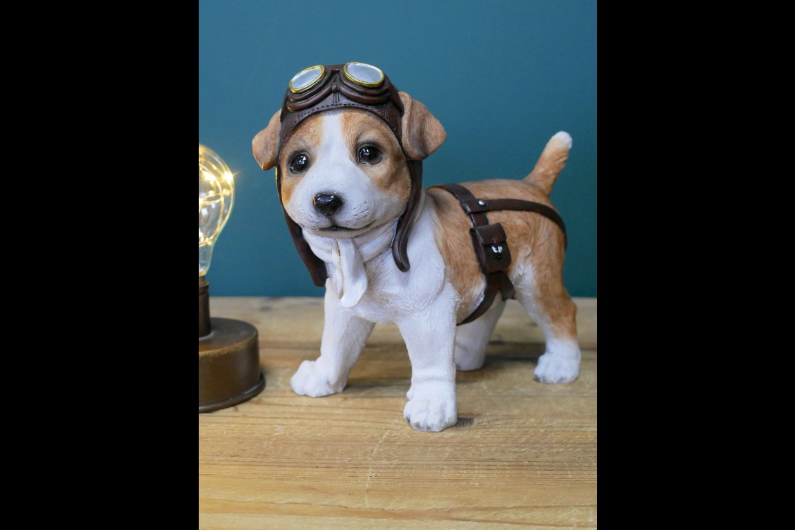 Pilot Dog