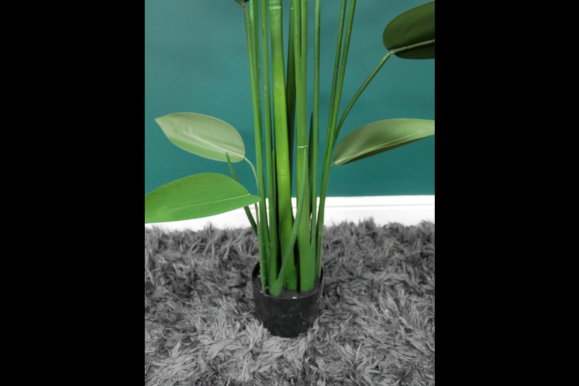 Artificial Canna