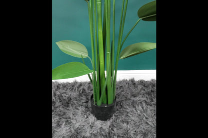 Artificial Canna