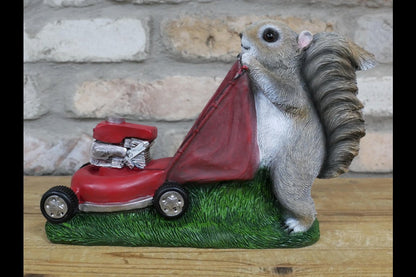 Squirrel Grasscutter