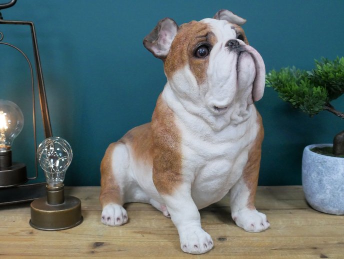 Sitting Bulldog