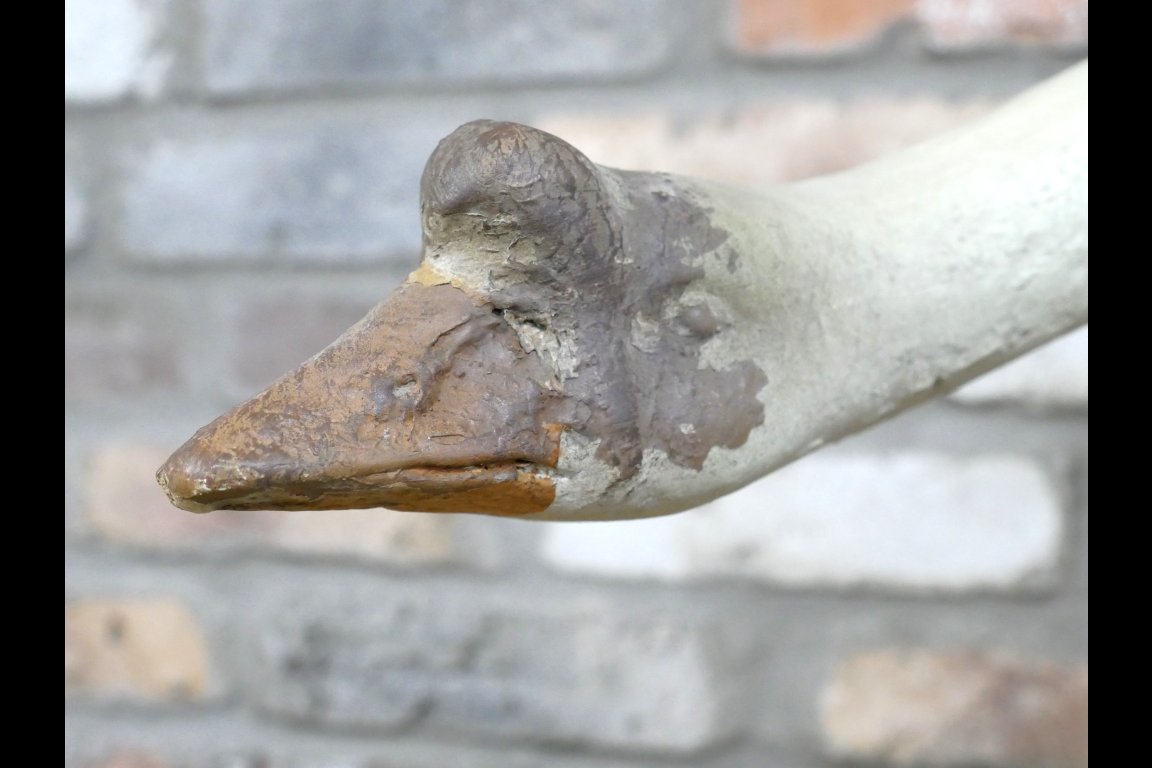 Large Goose - Neck Down