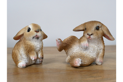 Mini Rabbits