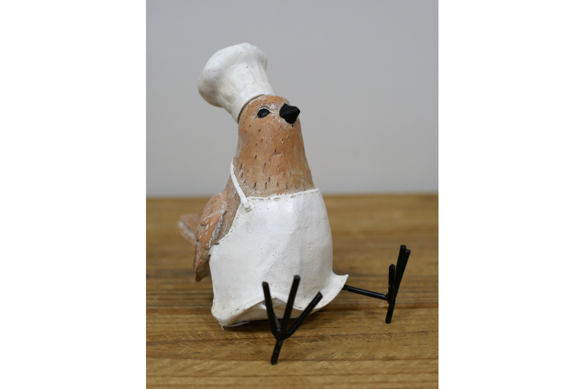 Bird Chef