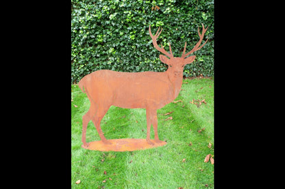 Rusty Stag