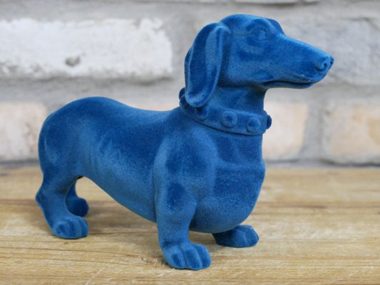 Blue Dachshund Dog