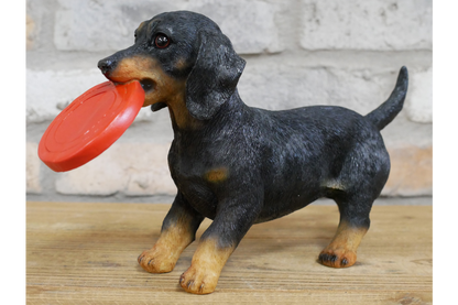 Dog Carrying Frisbee