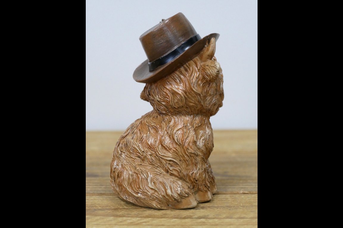Highland Cow With A Hat