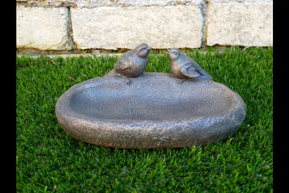 Bird Feeder