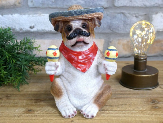 Mexican Bulldog