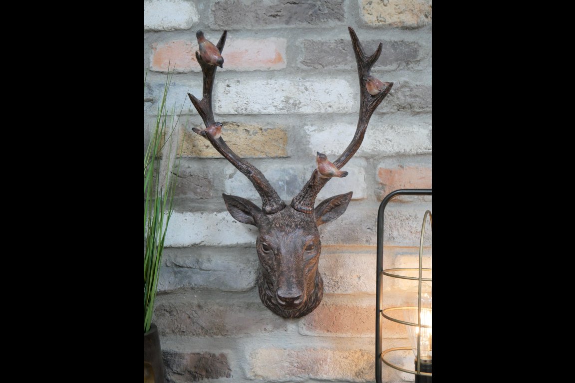 Stag Head