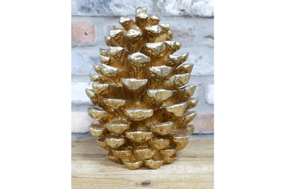 Giant Pinecone