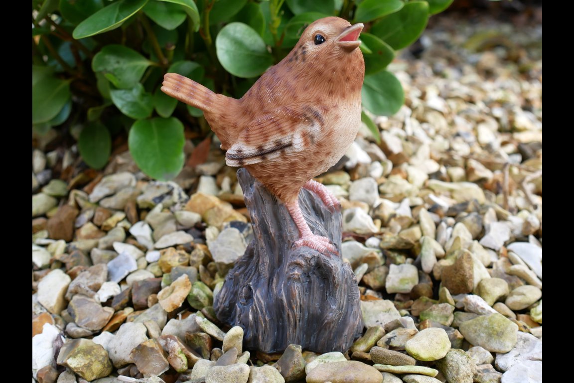 Tweeting Bird