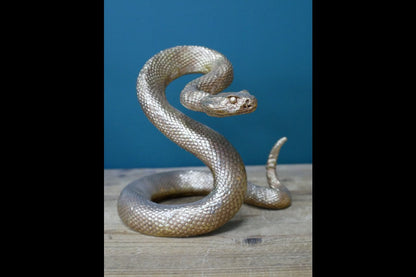Snake