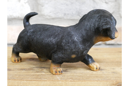 Small Dog