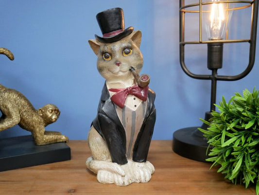 Gentleman Cat