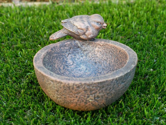 Bird Bowl
