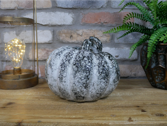 Pumpkin - Medium