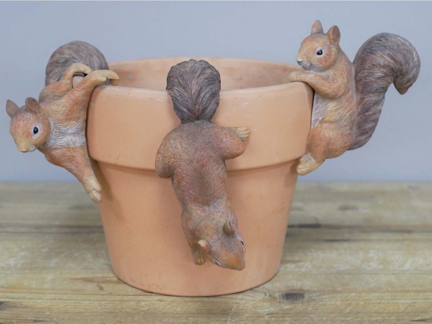 Set Of 3 Squirrel Pot Hangers