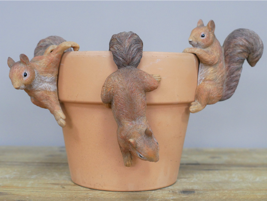 Set Of 3 Squirrel Pot Hangers