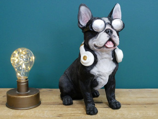 Dog With Headphones