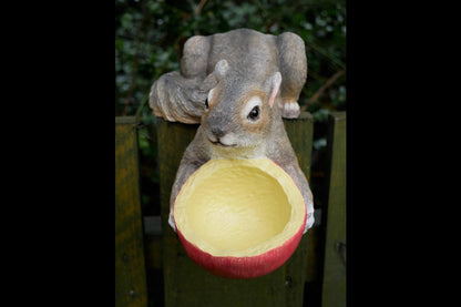 Squirrel Feeder
