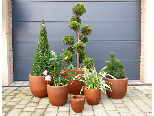 Set Of 6 Planters