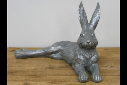 Laying Hare