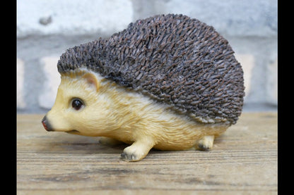 Hedgehog