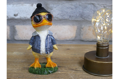 Cool Duck