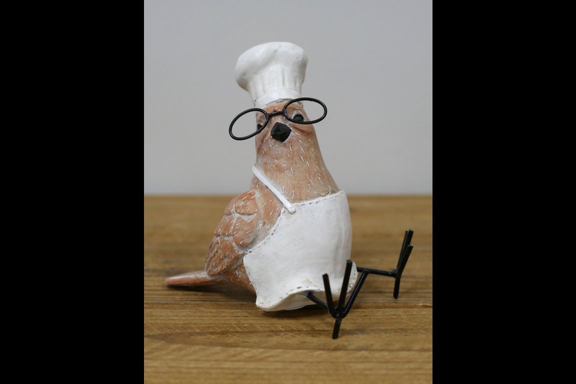Bird Chef