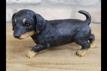 Small Dog