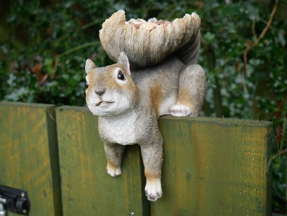 Squirrel Feeder