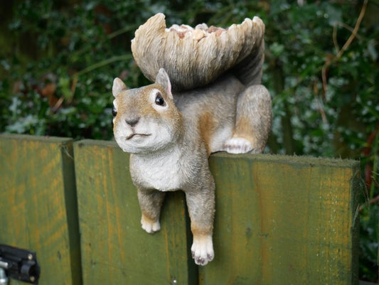 Squirrel Feeder