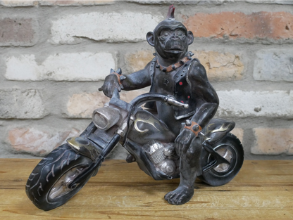 Monkey On Motorbike