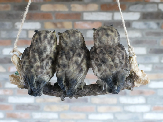 Three Owls On A Branch