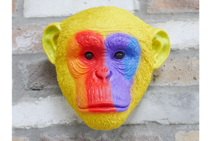 Rainbow Monkey Head