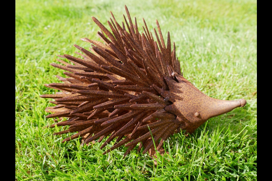 Rusty Hedgehog