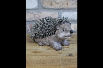 Hedgehog